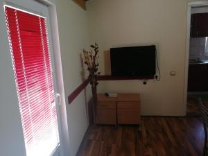 Μια τηλεόραση ή/και κέντρο ψυχαγωγίας στο Apartmani Teodor