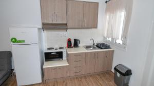 a small kitchen with a refrigerator and a sink at Thirassia Paradise Suites in Therasia