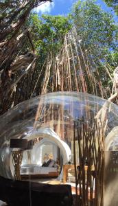 Fotografie z fotogalerie ubytování Bubble Lodge Ile aux Cerfs Island v destinaci Ile aux Cerfs