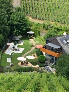 an aerial view of a house in a vineyard at Weinburg -Das Ferienhaus in Cochem