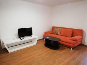 a living room with a orange couch and a tv at Horia in Avrig