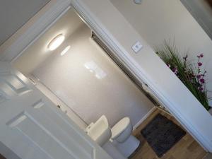 a bathroom with a toilet in a stair case at Bridge Street in Aberystwyth