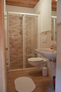 a bathroom with a shower and a toilet and a sink at Cèsa Soracrepa in Canazei +38 photos
