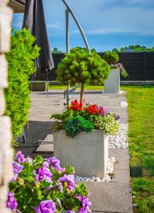 Vonkajšia záhrada v ubytovaní Apartament nad Zatoką