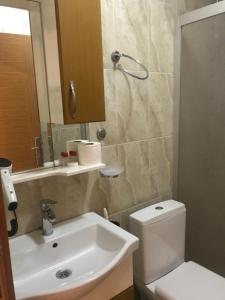 a bathroom with a sink and a toilet and a mirror at Altınboynuz Family Hotel in Istanbul +28 photos