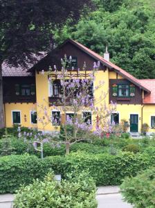 Zahrada ubytování Villa Kreuthhof Appartements
