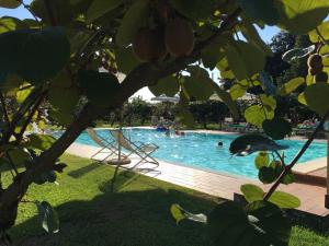 a swimming pool with a dolphin in the water at Agriturismo Tenuta La Pila in Villa Bartolomea