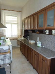a kitchen with wooden cabinets and a counter top at Ferienwohnung Hahn in Sebnitz