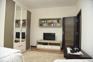 TV o dispositivi per l'intrattenimento presso Apartmani Sofronic Loznica 1
