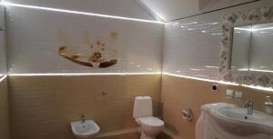 a bathroom with a toilet and a sink at Baltiyskaya Korona in Zelenogradsk