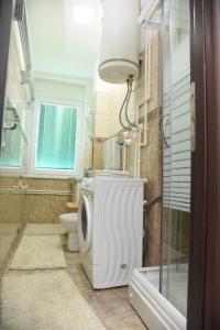Bagno di Apartmani Sofronic Loznica 1