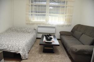 Area soggiorno di Apartmani Sofronic Loznica 1