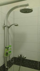 een douche met een douchekop in de badkamer bij Leibniz6 Stilvolles Privatzimmer in Leipzig