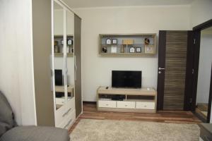 TV o dispositivi per l'intrattenimento presso Apartmani Sofronic Loznica 1