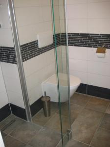 ライプツィヒにあるLeibniz6 Stilvolles Privatzimmerのバスルーム(トイレ、ガラス張りのシャワーブース付)