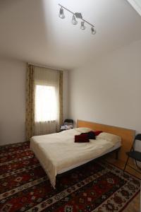 une chambre avec un grand lit et un tapis dans l'établissement Apartments Villa Irma, à Sarajevo