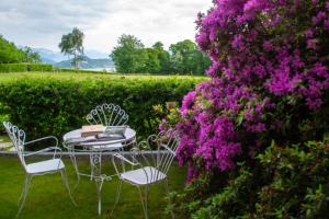 A garden outside La Cucchetta