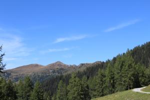 Fotografia z galérie ubytovania Draugstein - Hütte v destinácii Grossarl