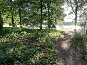 Zahrada ubytování STF Långasjö Vandrarhem