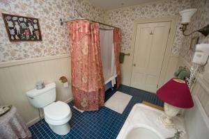 a bathroom with a toilet and a shower curtain at Cleftstone Manor in Bar Harbor
