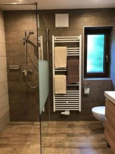 a bathroom with a shower and a toilet and a window at Appartements Kröll in Saalbach-Hinterglemm
