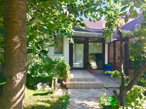 En have udenfor Vila Ana Trident Costinesti