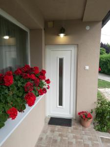 Vonkajšia záhrada v ubytovaní Virágos Apartman Balatonszemes