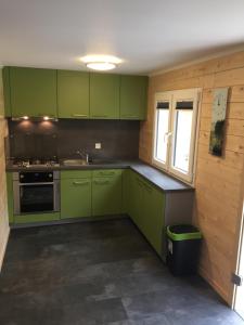 a kitchen with green cabinets and a trash can at Waldhaus Wangen in Burg-Reuland