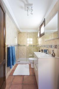 a bathroom with a sink and a toilet and a shower at Casitas La Brenda y La Gaga in Los Realejos +51 photos