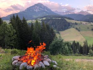 Príroda v okolí apartmánu