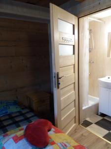 ザコパネにあるZakopane góralski domekのバスルーム(ベッド1台、シャワー、ドア付)