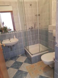 a bathroom with a shower and a toilet and a sink at Villa Luka in Brela +80 photos