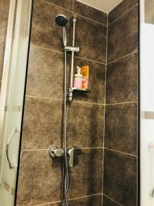 Galerija fotografija objekta App Garibaldi u Rijeci Još 13 fotografija