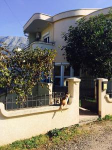 a cat sitting on the wall of a house at Holiday Home Mikki in Dobra Voda