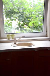 a sink in front of a window with a tree at Apartament sopot 2 pokoje in Sopot