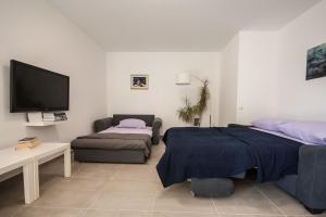 TV a/nebo společenská místnost v ubytování Apartment Sofia