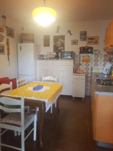 Kuchyň nebo kuchyňský kout v ubytování Apartment Sanka