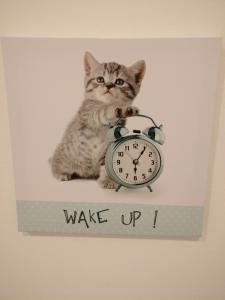 a cat sitting on a shelf next to an alarm clock at Casas do Megué in Évora