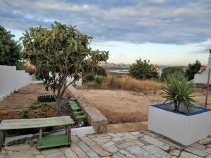 un banco de parque y un árbol en un jardín en Sleep & Go Faro Airport Guest House, en Faro