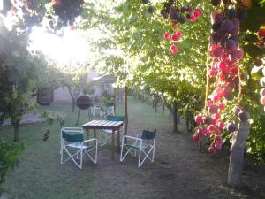 una mesa y sillas bajo un montón de árboles frutales en Complejo Los Ciruelos en San Rafael