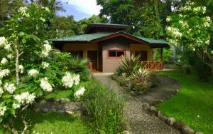 a small house with a pathway leading to it at Oasi in Cahuita