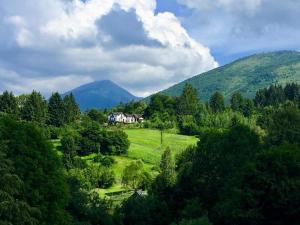 uma casa numa colina com montanhas ao fundo em Alpina Panoramic em Moisei