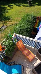 a patio with a chair and a swimming pool at Les Volets Bleus Alsace Vosges in Urbès