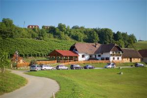 a group of cars parked in front of a house at Tourist Farm Rooms Lovrec in Jiršovci