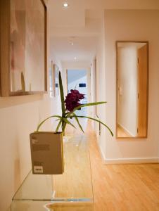 a vase with a flower on top of a glass table at Regent House deluxe 2 bedroom apartment in Harrogate