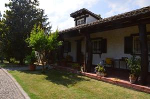 Zahrada ubytování B&B VILLA LUPIDI