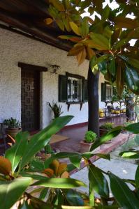 Zahrada ubytování B&B VILLA LUPIDI