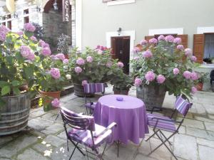 A garden outside Hotel Filoxenia