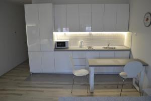 斯科普里Lazarus Studio Apartment的厨房配有桌子、两把椅子和微波炉