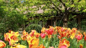 Un bouquet de fleurs devant une maison dans l'établissement La Ferme de Thoudiere, à Saint-Étienne-de-Saint-Geoirs